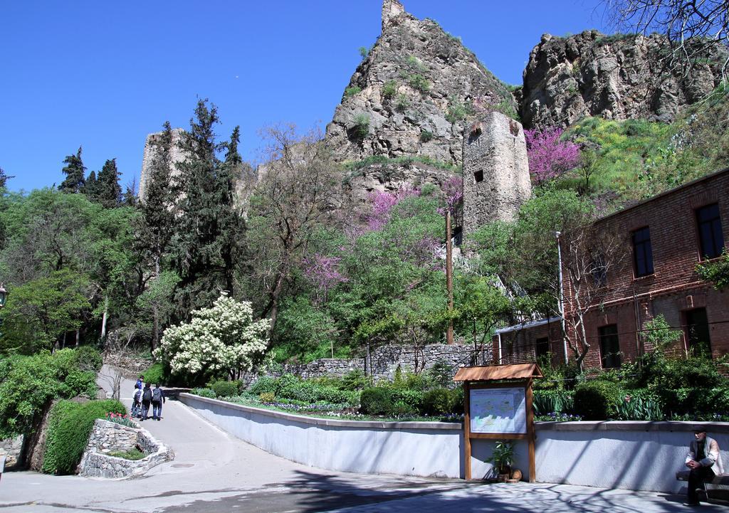 Apartment On Botanikuri Tbilisi Pokój zdjęcie